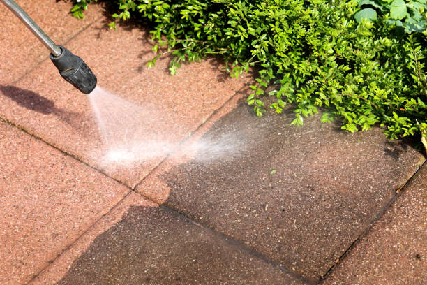 Best Pressure Washing Near Me  in Opelousas, LA